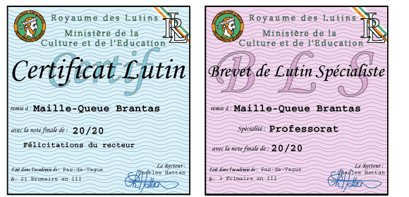 Diplômes